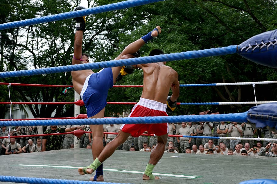 two men kickboxing inside ring, muay thai, demonstration, competition