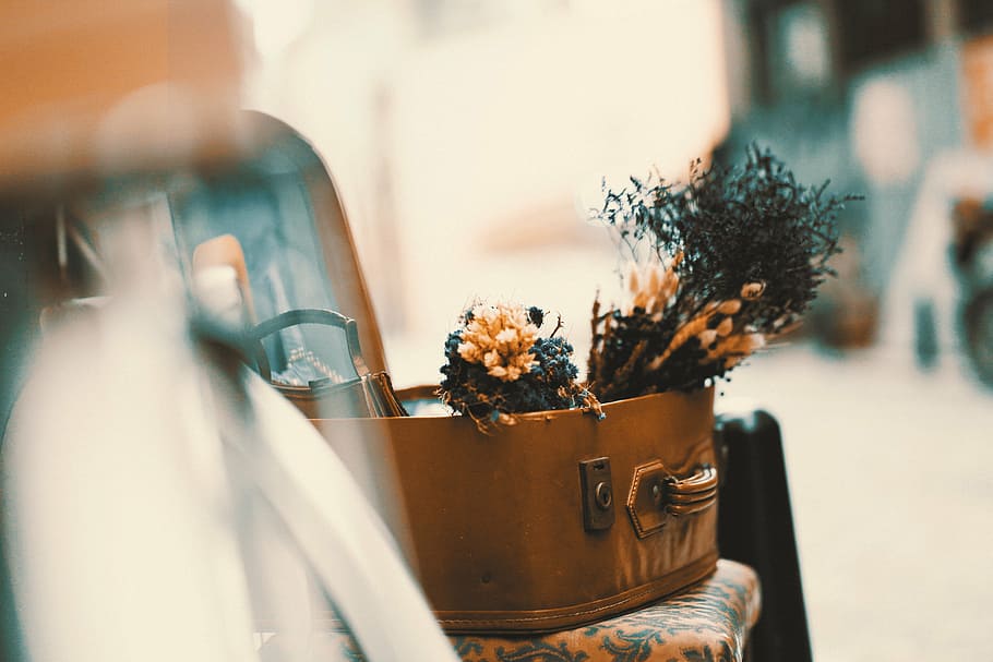 bag, blur, bouquet, box, chair, daylight, decoration, flora HD wallpaper