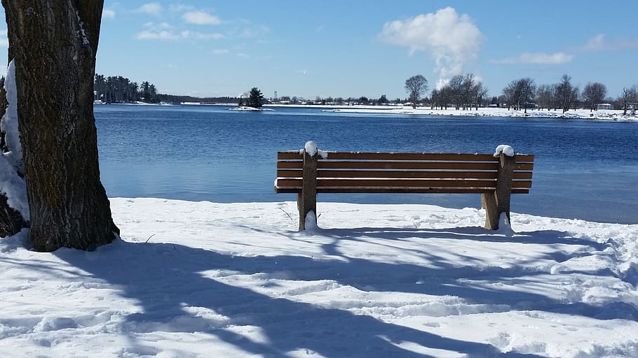 winter, bench, park, quiet, seasonal, tree, snow, cold temperature HD wallpaper
