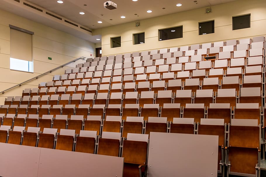 brown wooden chair lot and white projector, room, lecture hall HD wallpaper