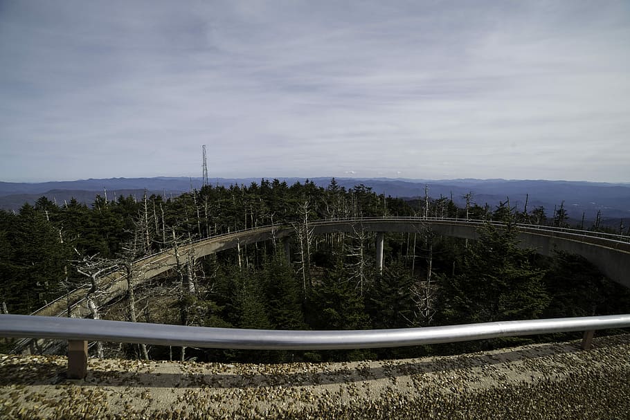 The Winding Trail to the top of the tower at Great Smoky Mountains National Park, Tennessee, HD wallpaper