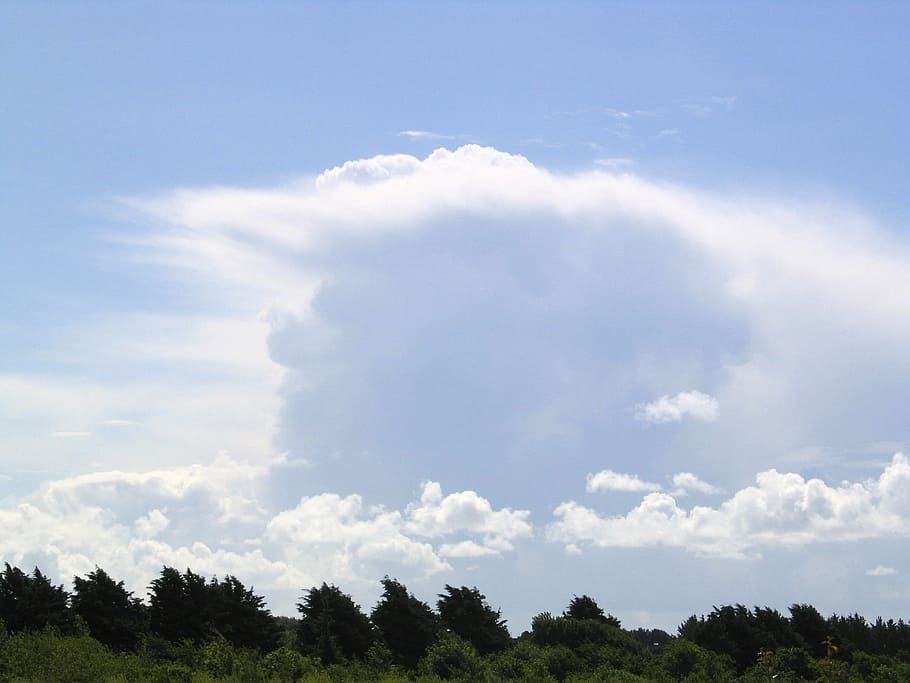 Sky, Clouds, Nature, White, blue, cloud - sky, tree, environment HD wallpaper