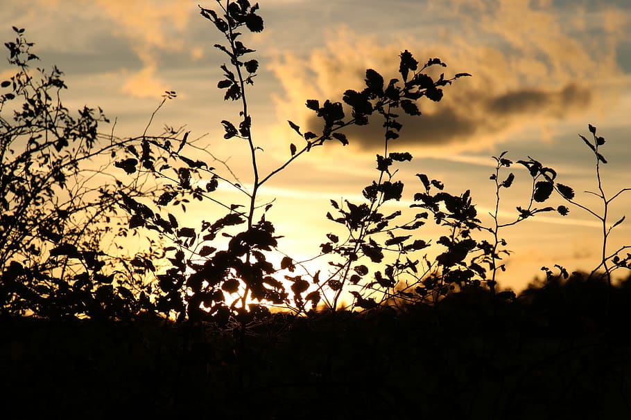 clouds, twilight, nature, sky, sunset, silhouette, beauty in nature HD wallpaper