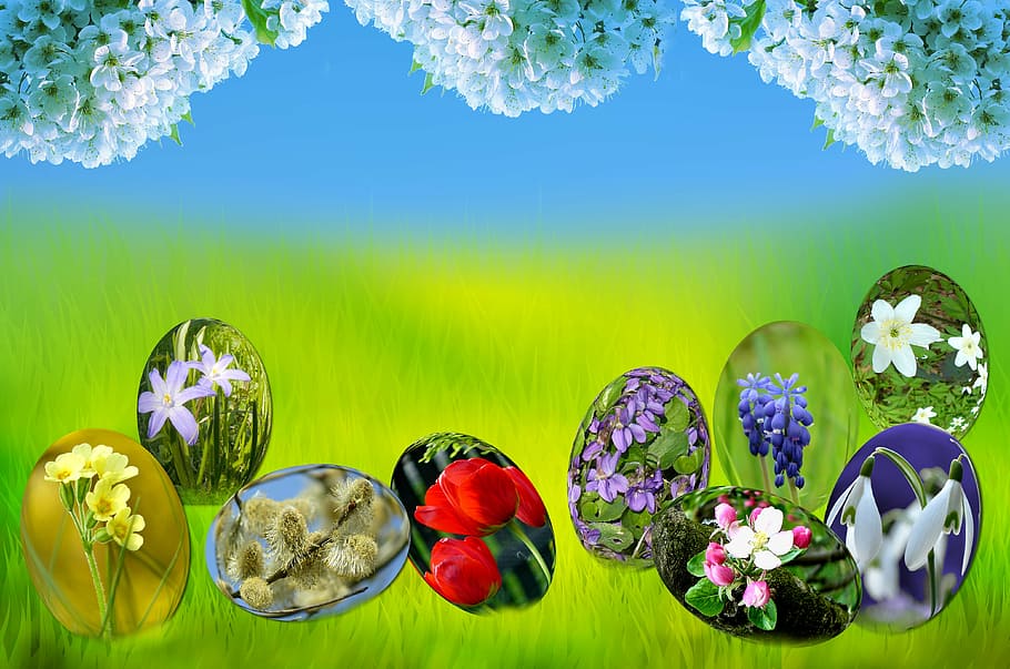 variety of flowers, easter, eggs, spring, sun, grass, green HD wallpaper