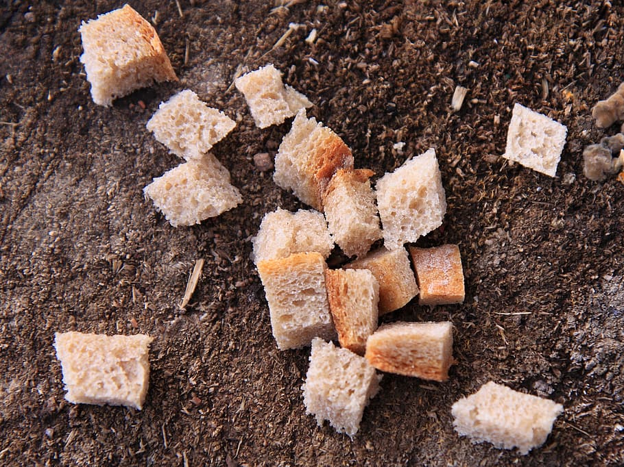 Bread, Crust, Crumble, Food, Fresh, bakery, loaf, croutons HD wallpaper