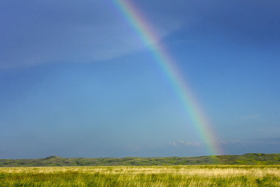 rice field under rainbow, prairie, south dakota, sky, landscape HD wallpaper