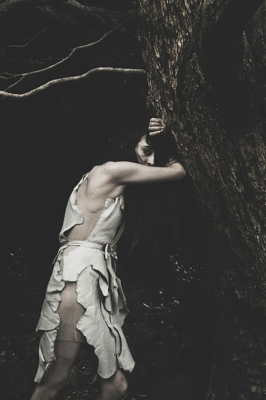 black haired woman leaning on tree trunk, woman leaning on tree HD wallpaper