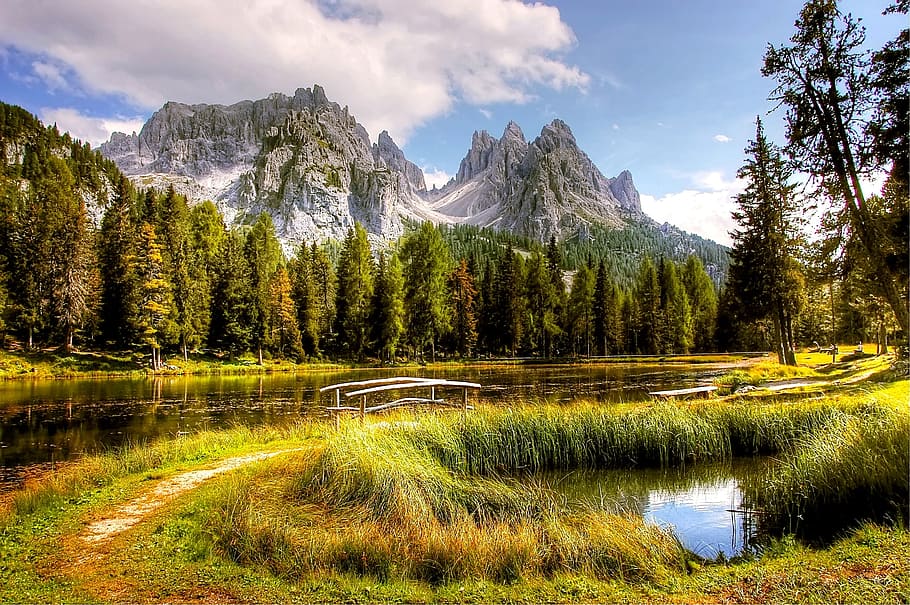 landscape photography of trees and mountain, dolomites, mountains