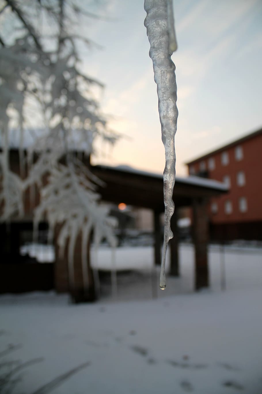 ice, winter, cold, snow, frozen, frost, white, cold temperature HD wallpaper