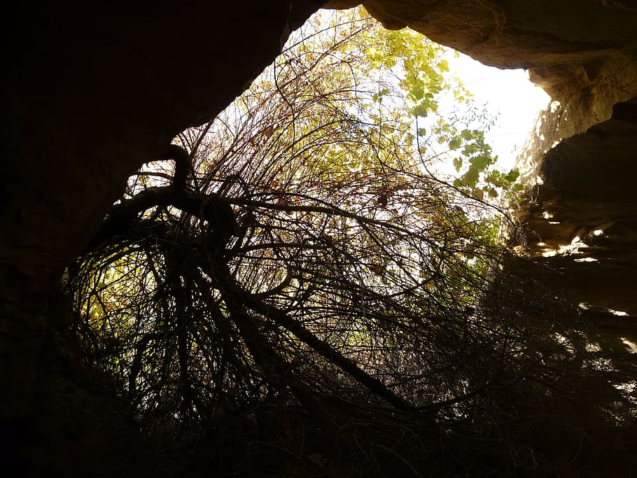 Cave, Grotto, Light, Hell, Dark, opening, outlook, one animal HD wallpaper