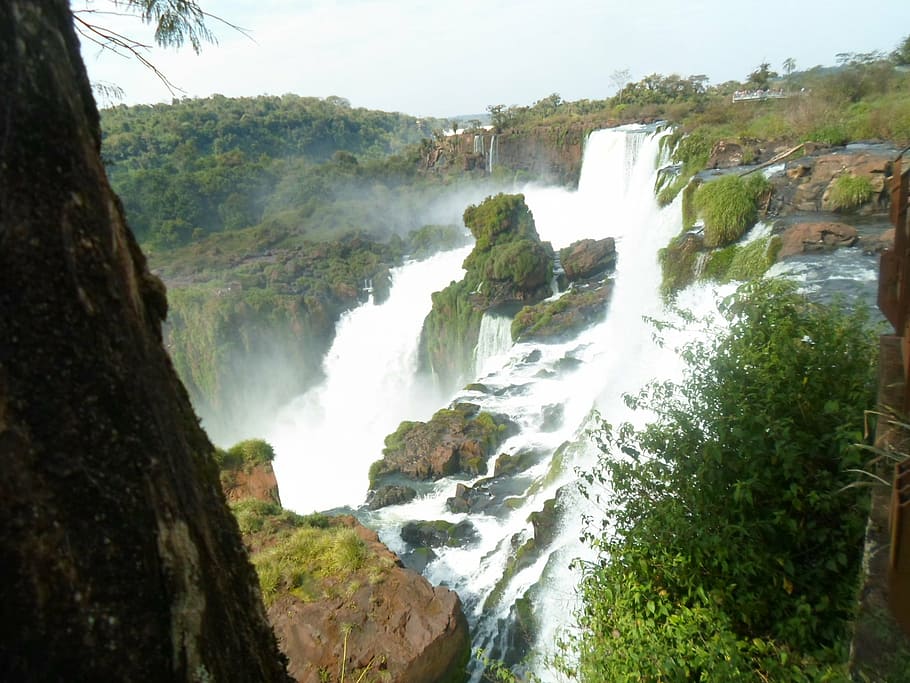 nature, vegetation, water, iguazu, falls, argentina, waterfall, HD wallpaper