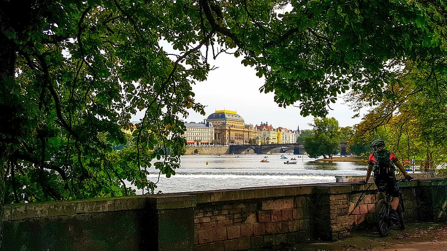 prague, czech, river, vltava, bohemia, capital, travel, architecture HD wallpaper
