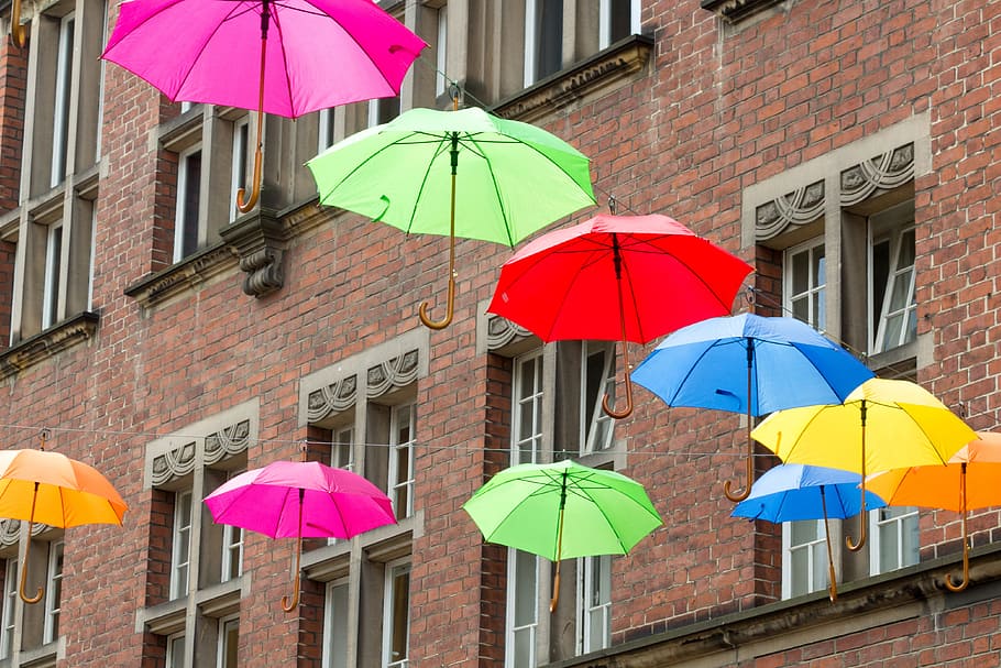 assorted umbrellas hanging on black string, home, wall, many HD wallpaper