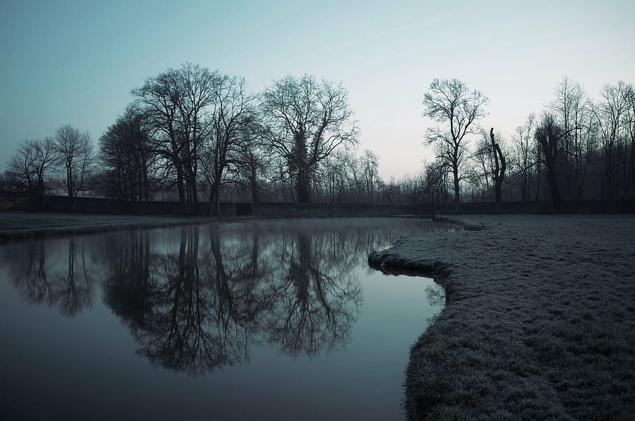 blue, landscape, lake, trees, reflections, water, morning, plant HD wallpaper