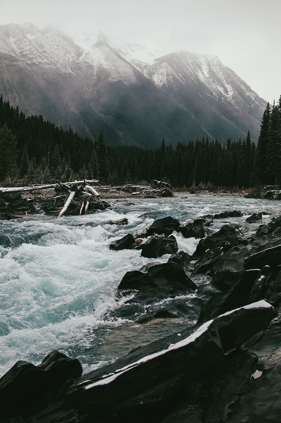 HD wallpaper: river with gray rocks near mountain and forest with trees ...