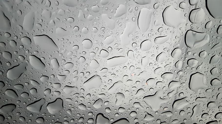 Window, Water, Rainy Day, non, after, a rainy day, tabitha, HD wallpaper