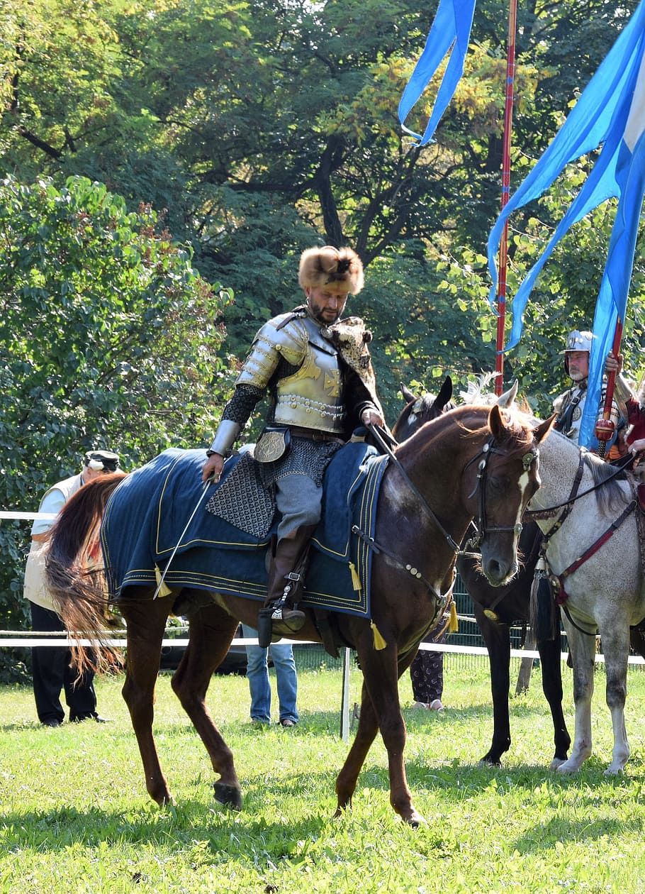 sommerfest, knight, attack, middle ages, historical representation HD wallpaper