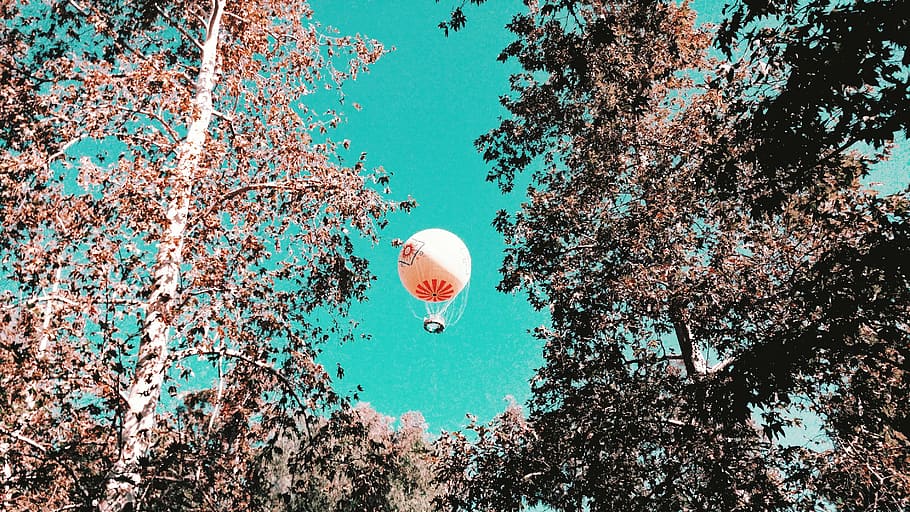 white hot air balloon, red, baloon, sky, tree, plant, nature HD wallpaper