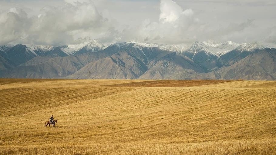 person riding horse on open field, people riding in brown horse on desert HD wallpaper