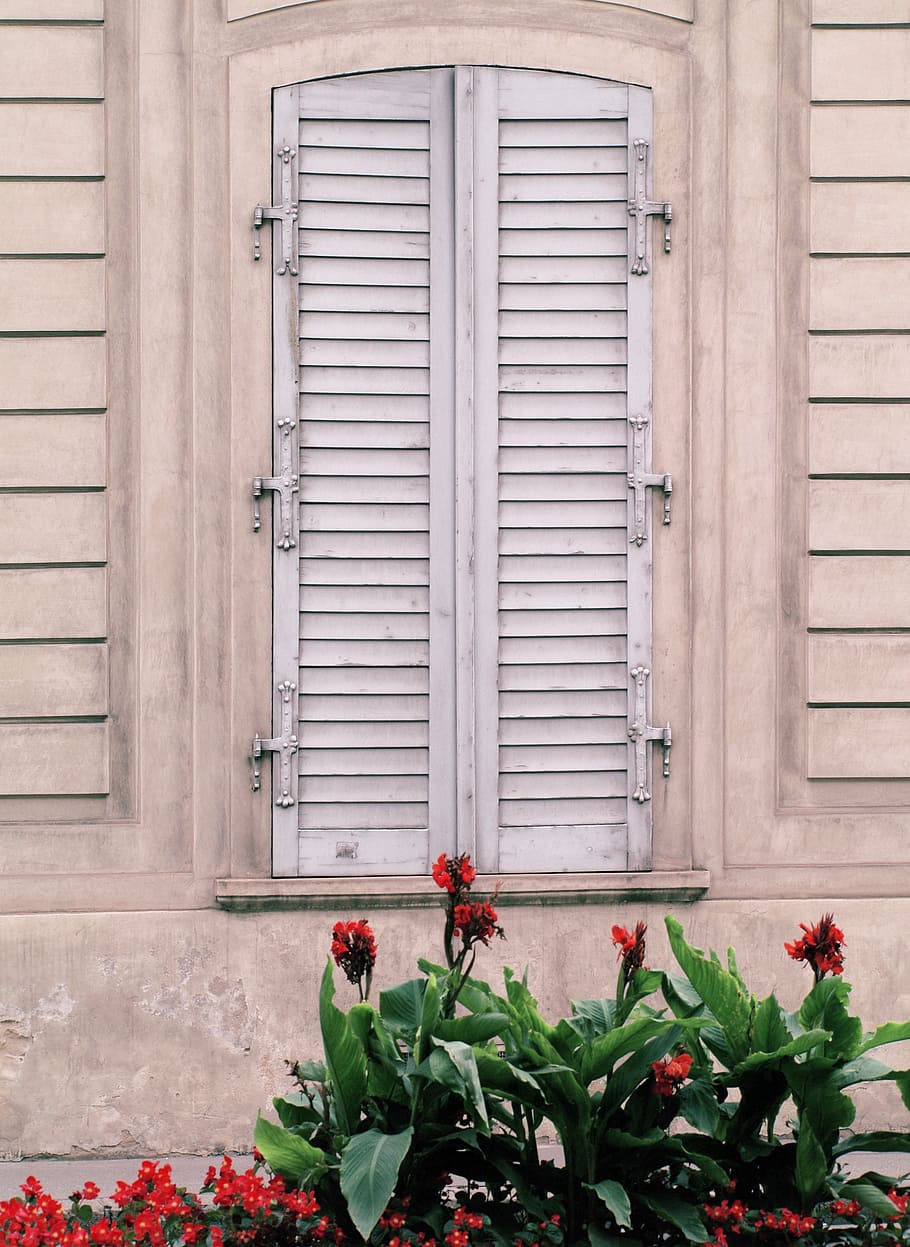 building, window, old, shutter, flowers, vienna, austria, architecture HD wallpaper