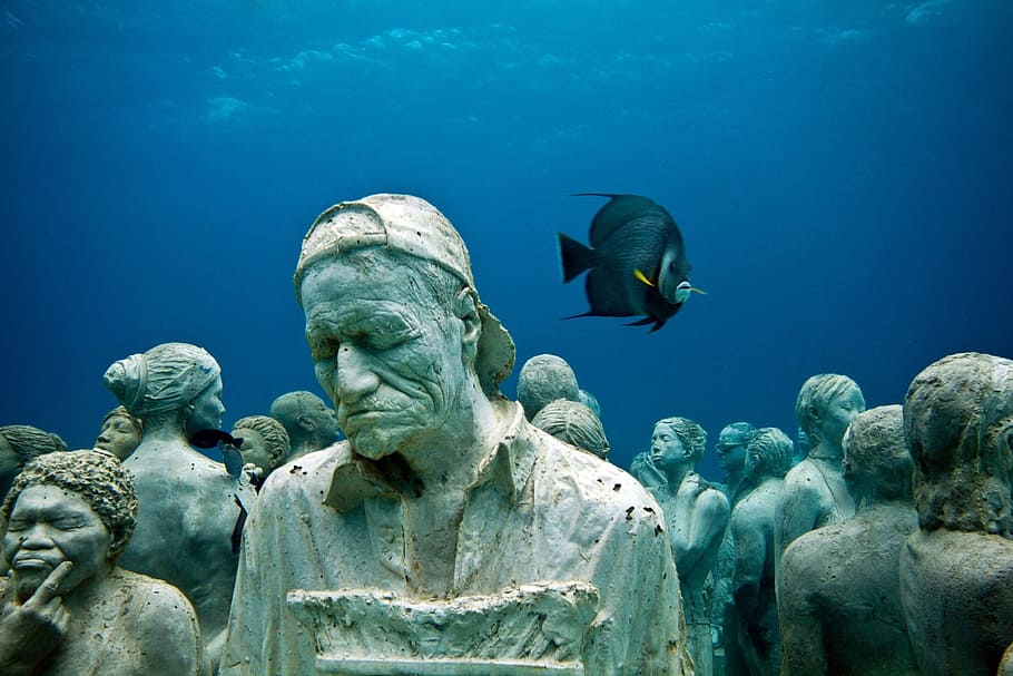 sculpture, mar, sea, underwater, animal, sea life, undersea HD wallpaper