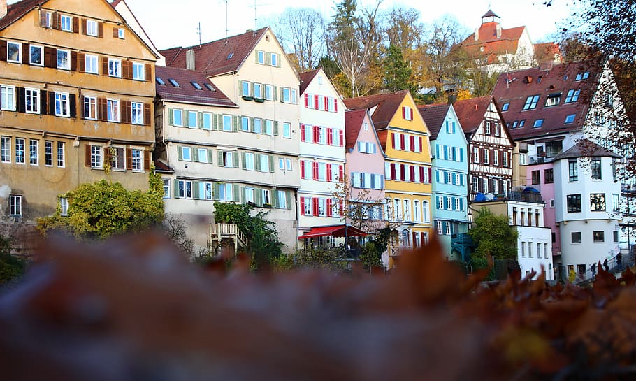 Tübingen, Neckar, City, Old Town, Town, River, historically, HD wallpaper