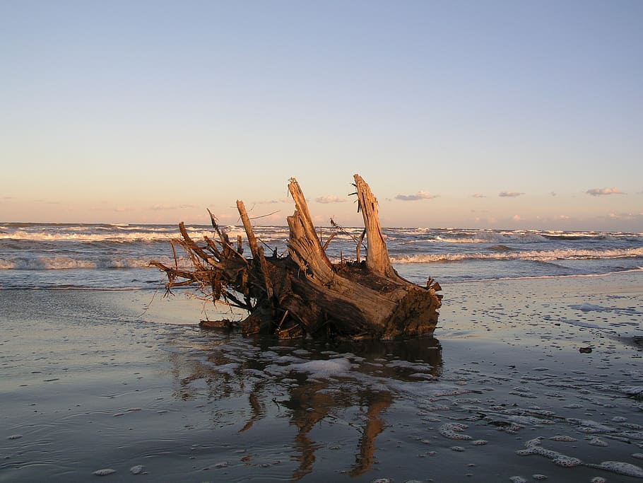 trunk, sea, summer, beach, rimini, winter, horizon, water, sand HD wallpaper