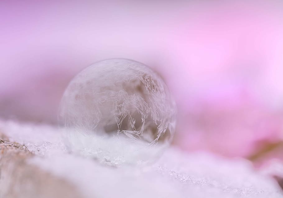 photography of frost bubble, soap bubbles, filigree, frozen, tender, HD wallpaper