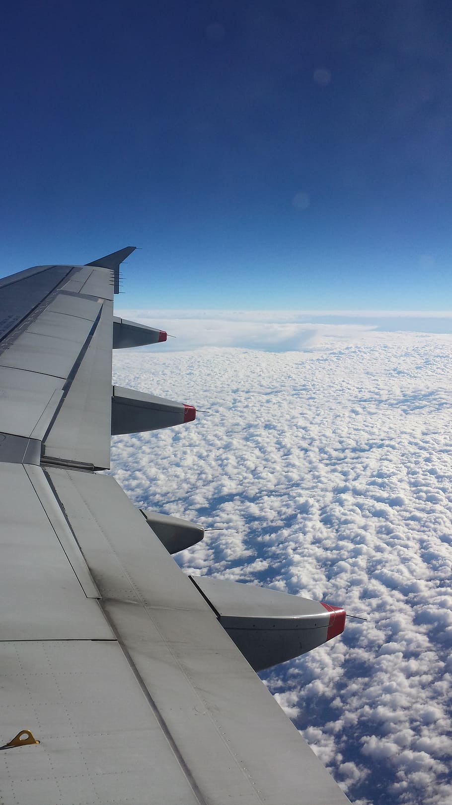 flight, fly, wing, clouds, sky, travel, plane, airplane, flying HD wallpaper