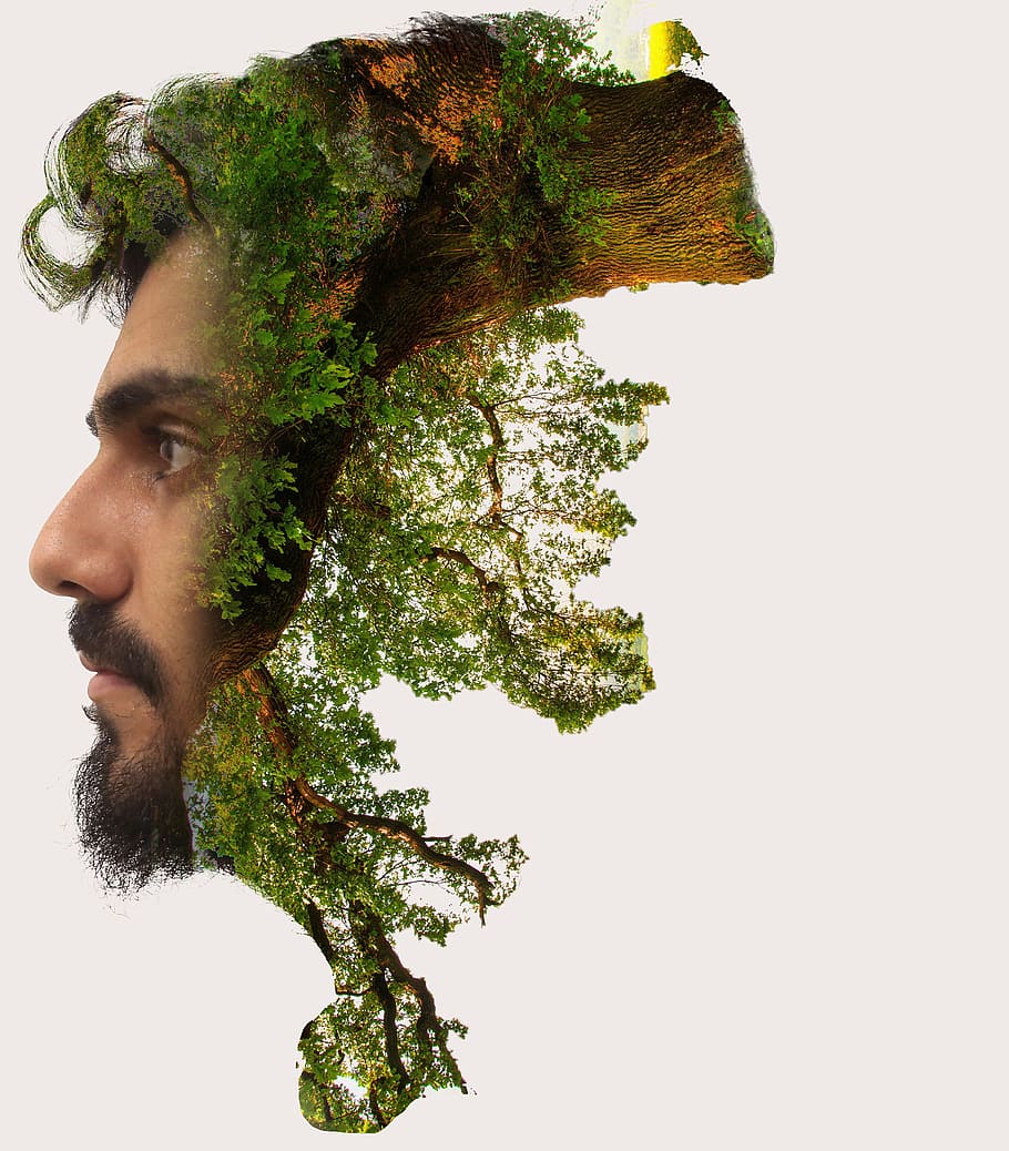 man's face and forest photo manipulation, double exposure, photoshop, HD wallpaper