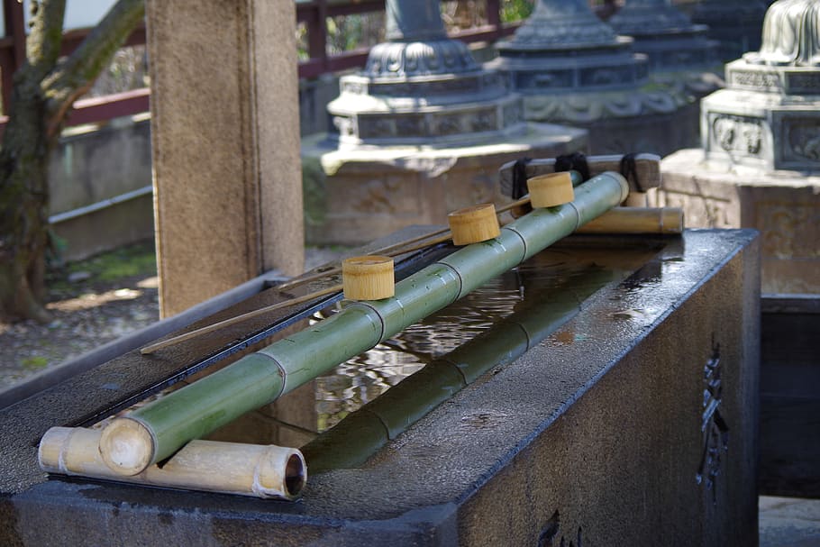 temple, water, bamboo, architecture, no people, focus on foreground HD wallpaper