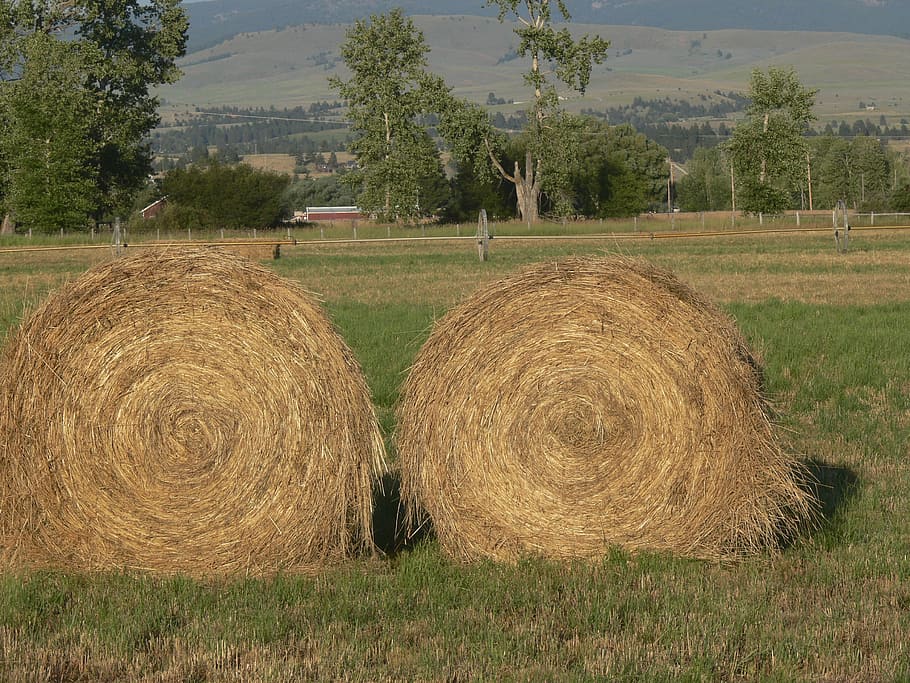haystack, montana, countryside, scene, natural, haystacks, farm HD wallpaper