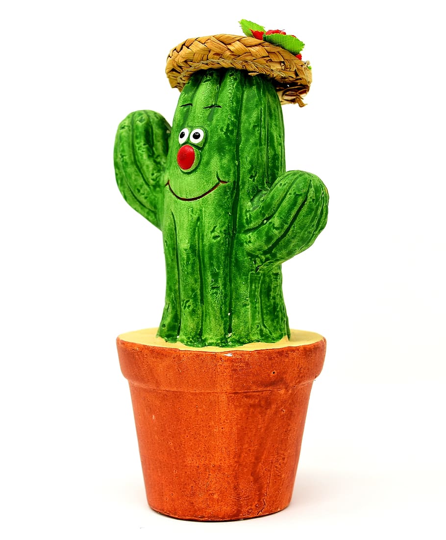 cactus plant decor with white surface, figure, funny, cute HD wallpaper