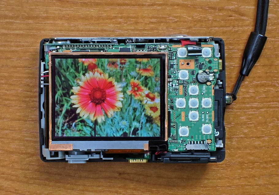 digital camera, photo, flower, technology, screen, display HD wallpaper