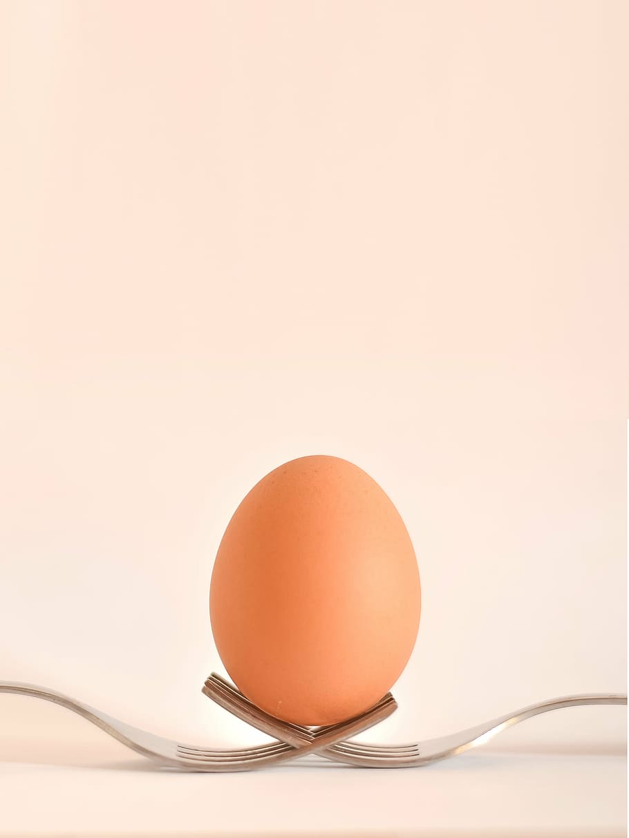 brown egg on two silver forks, food, egg yolk, eggshell, cracked, HD wallpaper