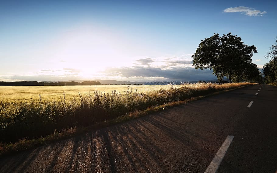 path, sunset, landscape, sky, summer, peace, plant, road, tranquil scene HD wallpaper