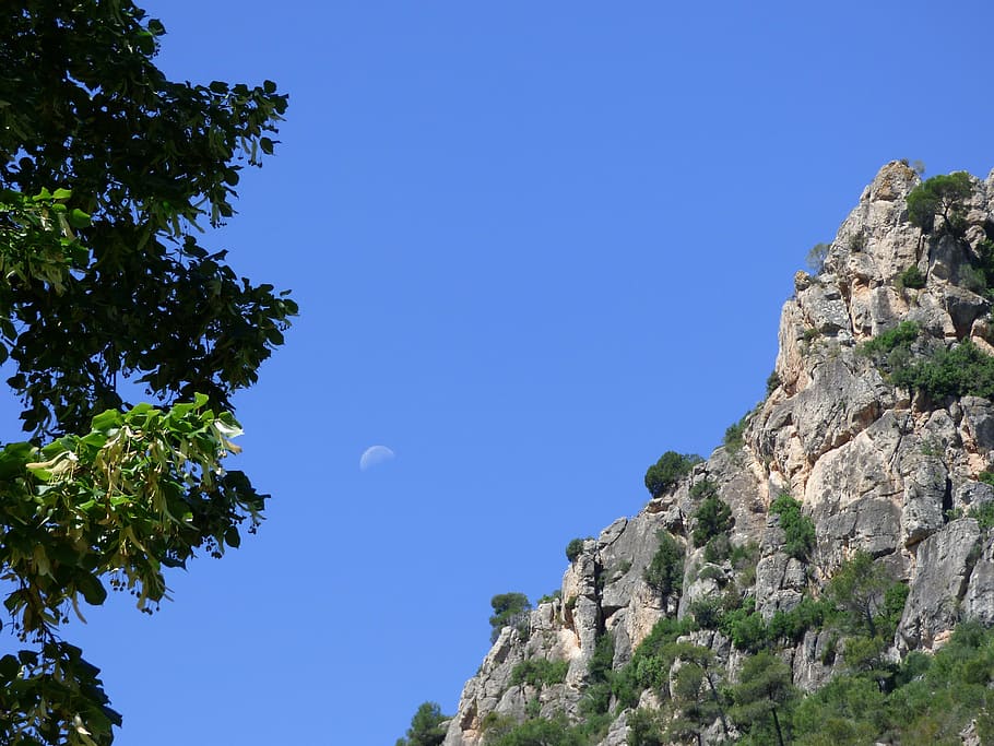 mountain, rocks, sky, moon, moon day, tree, plant, clear sky HD wallpaper