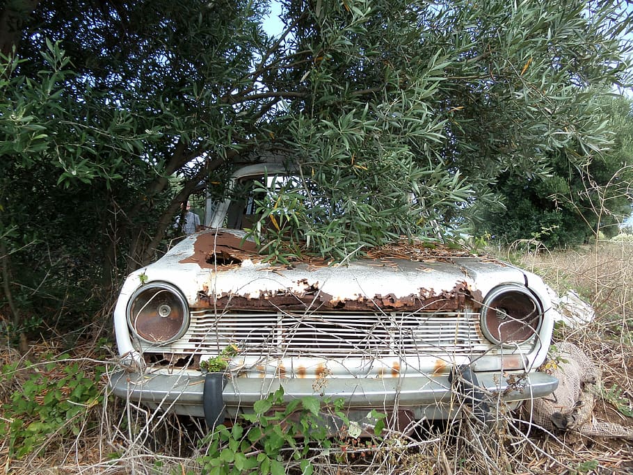 car, wreck, rust, car wreck, old, corroded, plant, metal, abandoned HD wallpaper