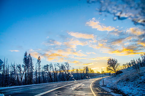 empty asphalt road in between snow-covered ground and trees HD wallpaper