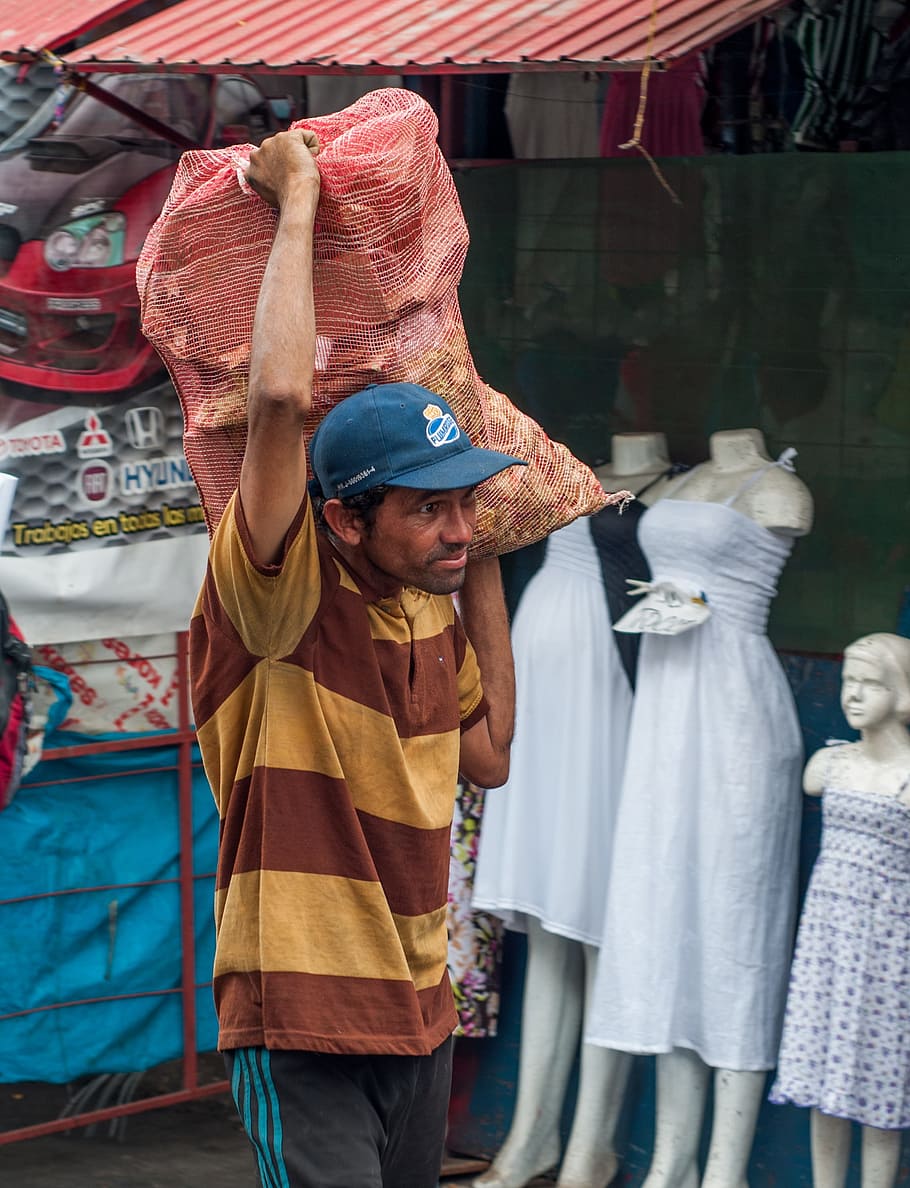 Maracaibo, Man, Bag, Produce, working, shop, business, worker HD wallpaper