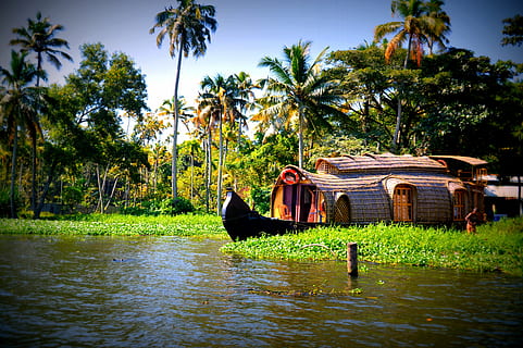 Houseboats in Alleppey