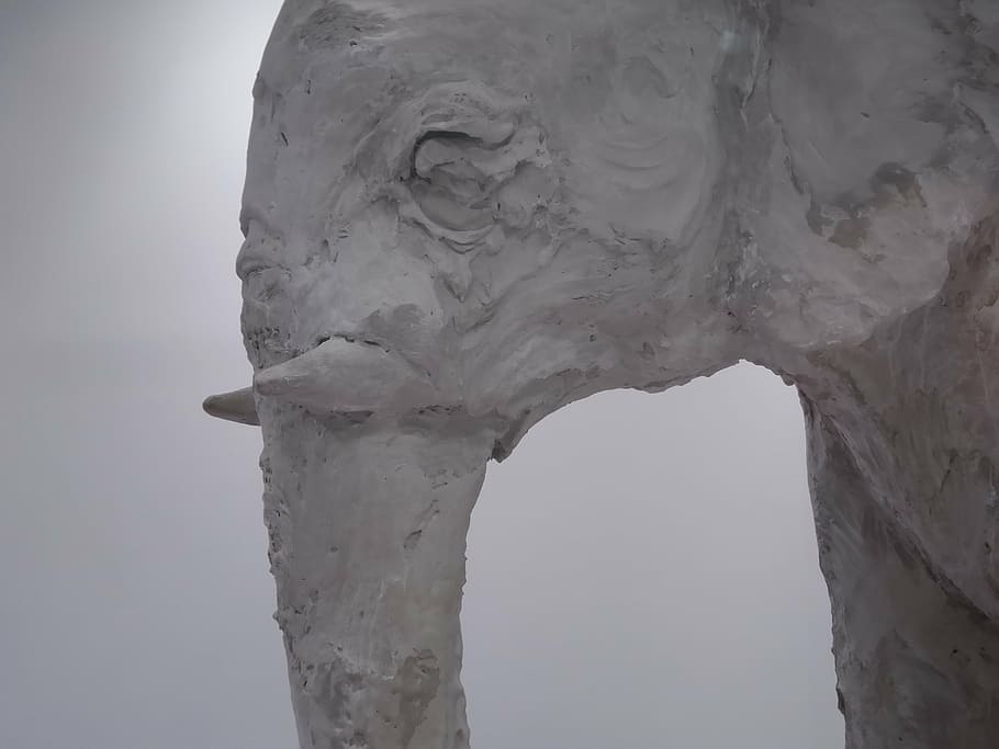 close-up photography of white elephant sculpture, clay, statue HD wallpaper
