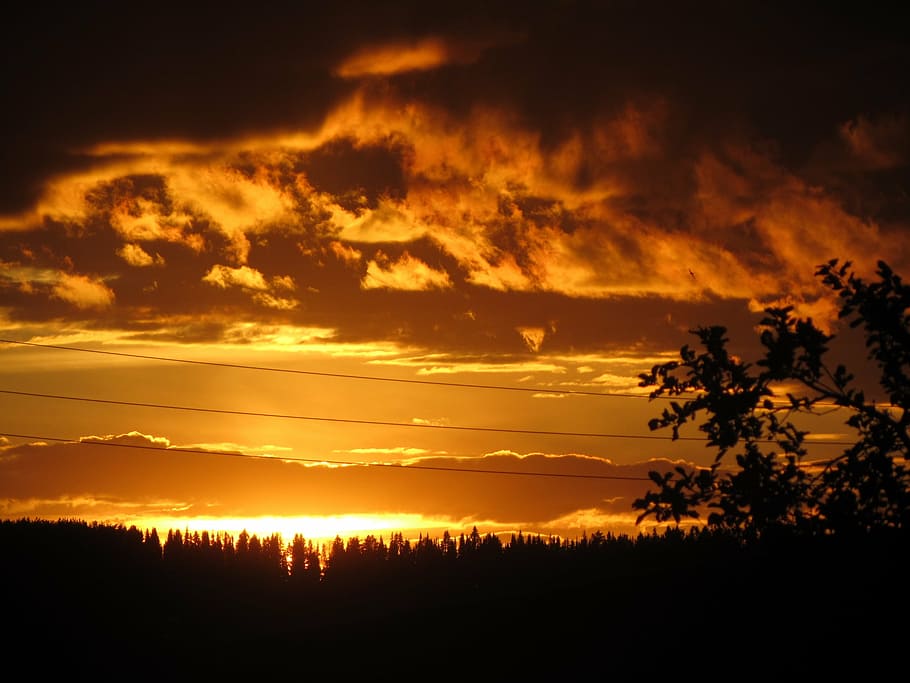 nature, sunset, sunset sky, clouds, evening, tree, dusk, sunlight HD wallpaper