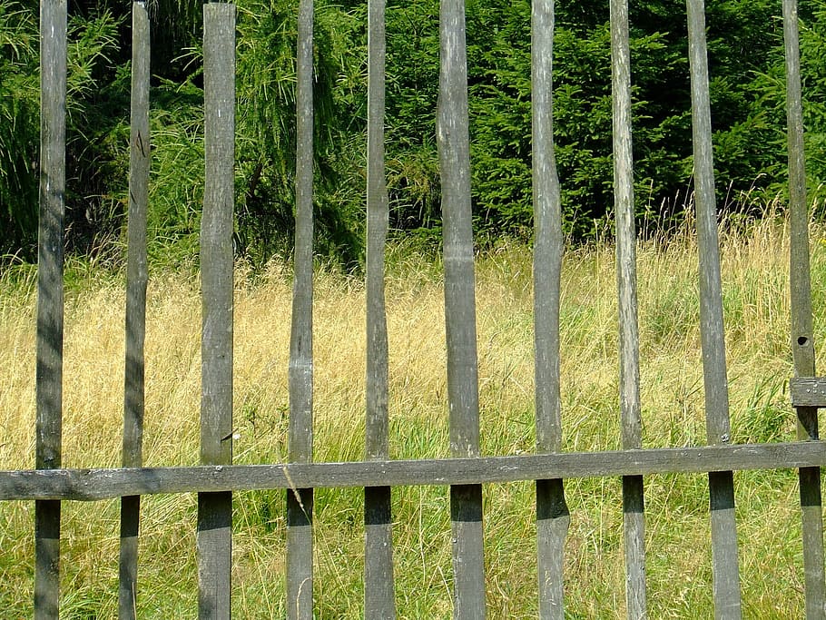 fence, planks, view, nature, outdoors, backgrounds, security HD wallpaper