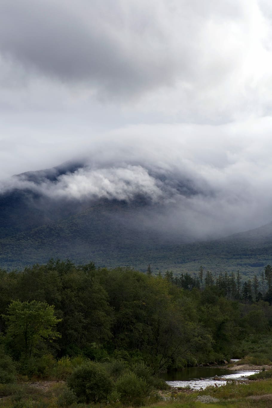 green trees near river, clouds, gray, landscapes, mountains, nature HD wallpaper