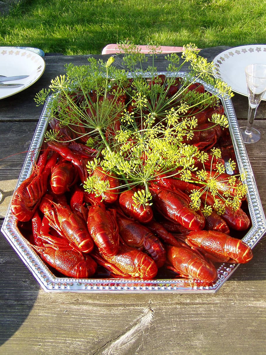 crayfish, kalas, dill, august, sweden, food and drink, freshness HD wallpaper