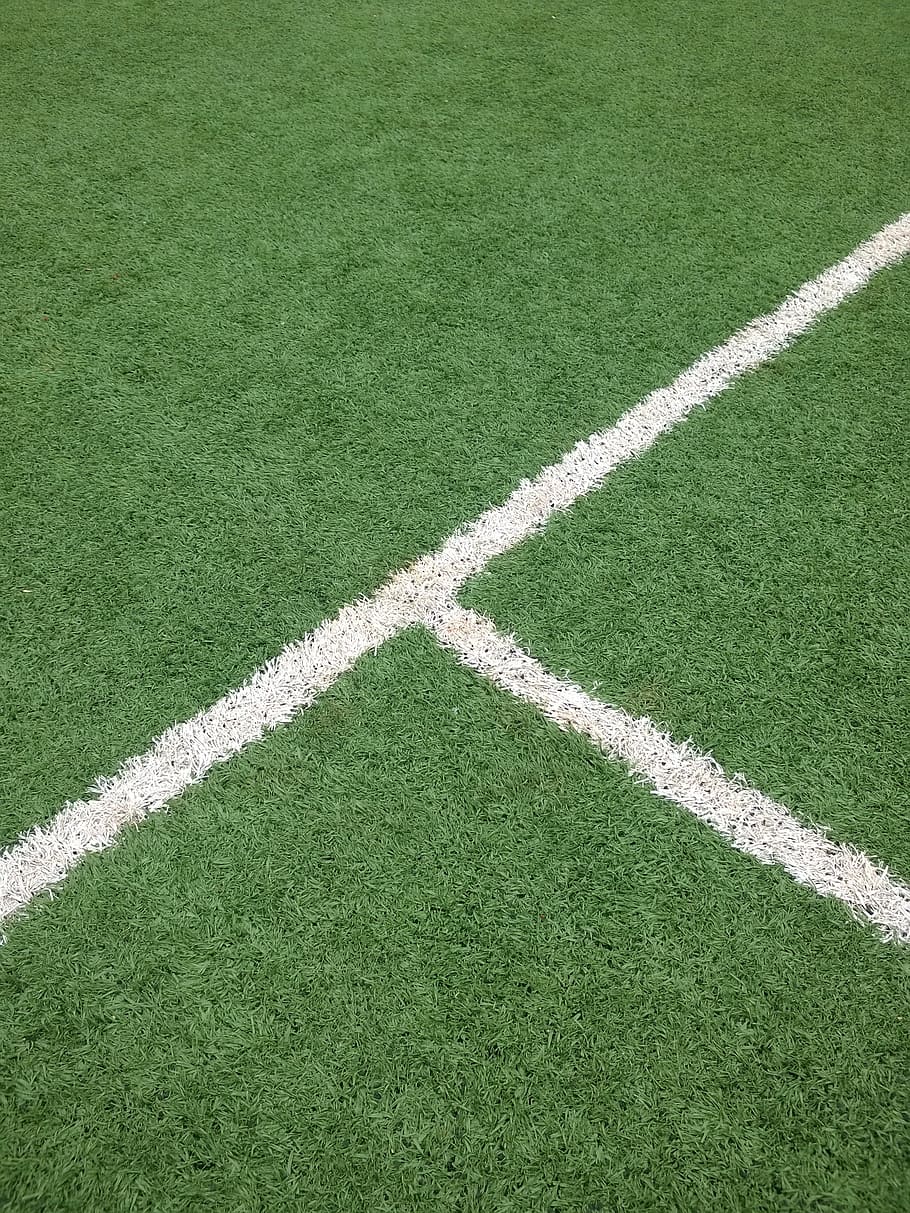 guess, not, to, grass, green color, sport, soccer field, plant HD wallpaper