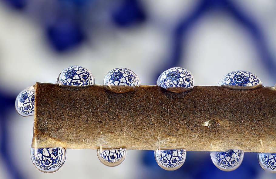 selective focus photography ofg water drops on brown tree branch HD wallpaper