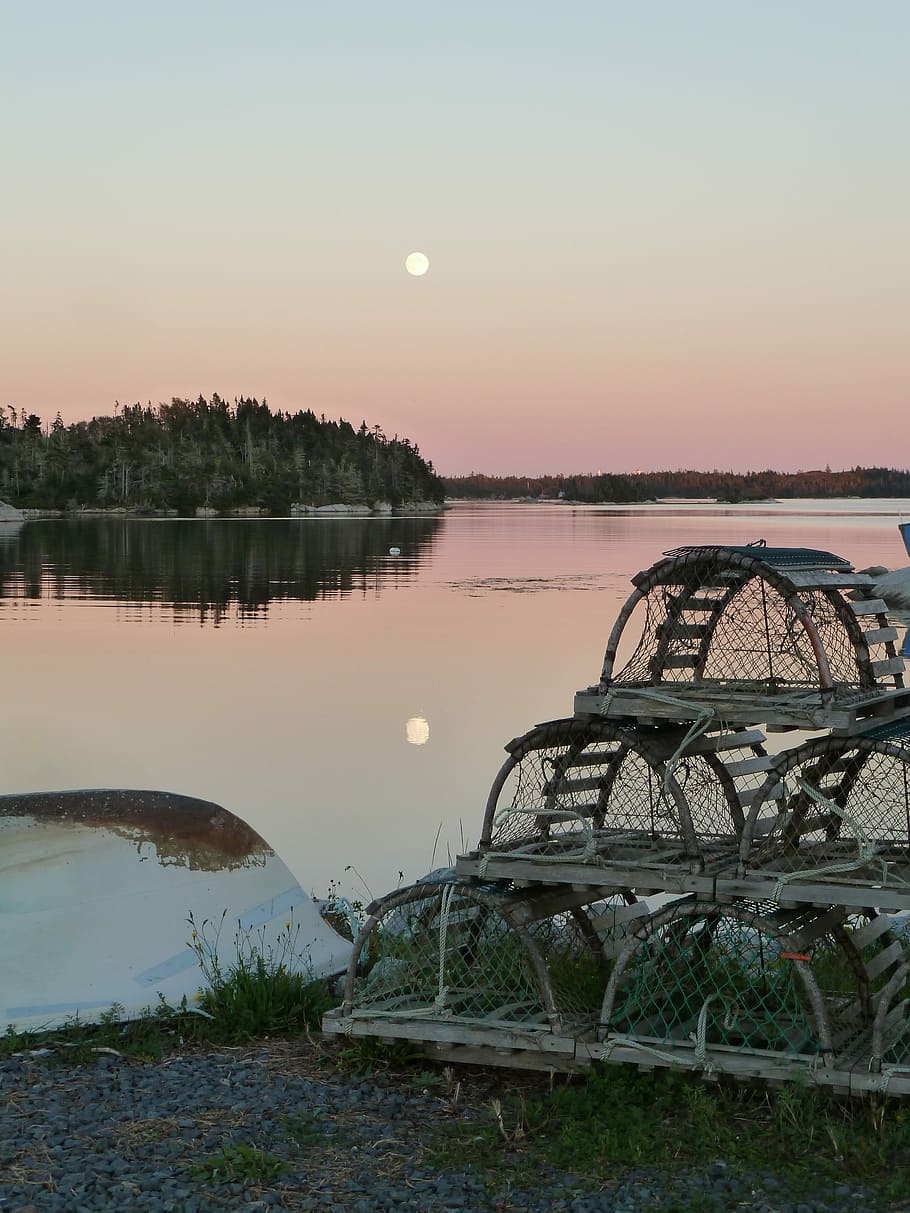 Nova Scotia, Lobster, Canada, fishing, ocean, boat, atlantic HD wallpaper