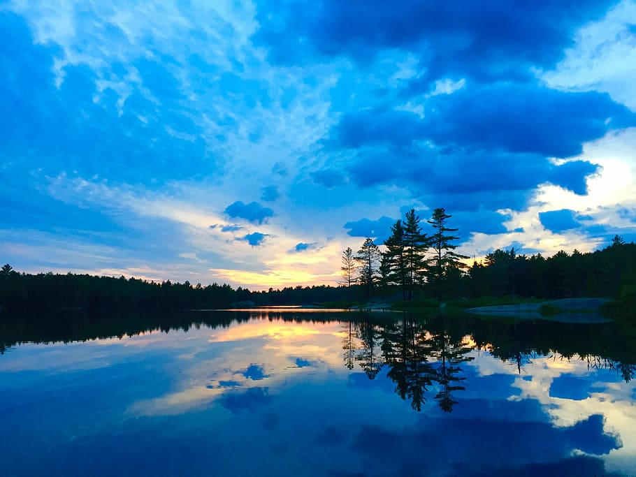 landscape photography of trees, lake, golden, hour, sunset HD wallpaper